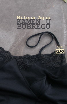 kamen u bubregu 