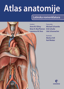atlas anatomije gilroy 