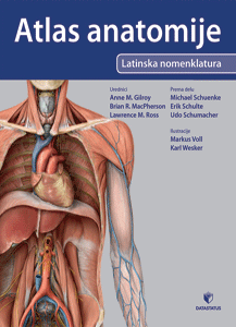 atlas anatomije gilroy gilroy 