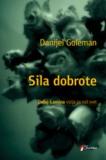 sila dobrote dalaj lamina vizija za naš svet 