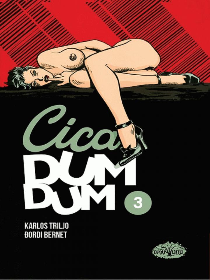 cica dumdum knjiga 3 