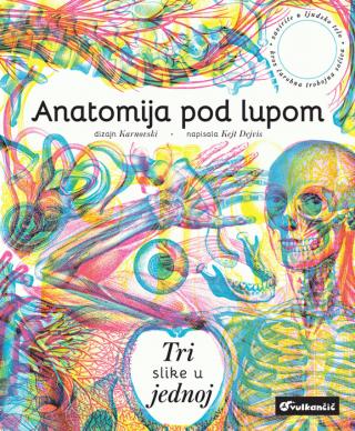anatomija pod lupom kejt dejvis 