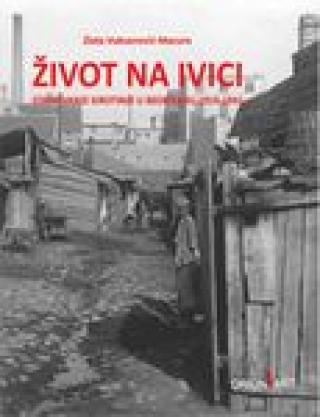 život na ivici stanovanje sirotinje u beogradu 1919 1941 zlata vuksanović macura 