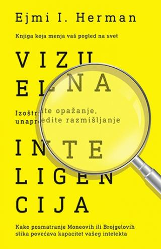 vizuelna inteligencija ejmi i herman 