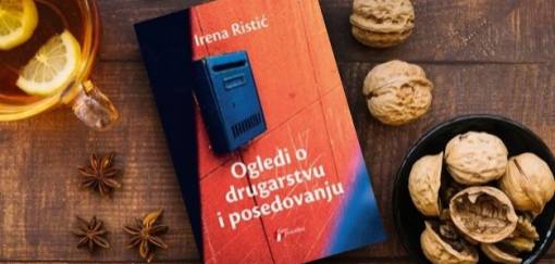 irena ristić, ogledi o drugarstvu i posedovanju 