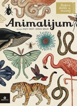 animalijum dženi brum 