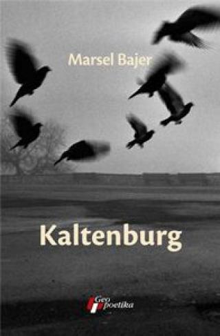 kaltenburg marsel bajer 