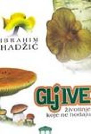 gljive životinje koje ne hodaju ibrahim hadžić 