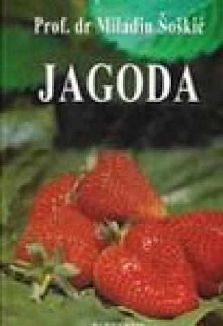 jagoda miladin šoškić 