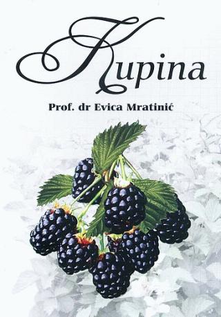 kupina evica mratinić 