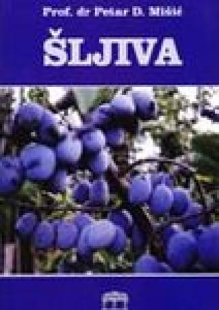 šljiva petar mišić 
