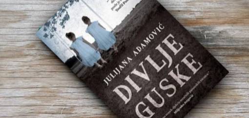 promocija knjige divlje guske julijane adamović 
