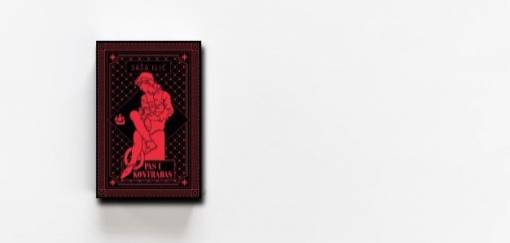 gostujući blog bookvica net pas i kontrabas, saša ilić