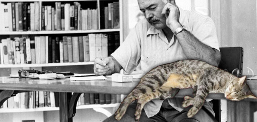 simboličko značenje životinja u literaturi ernesta hemingveja 