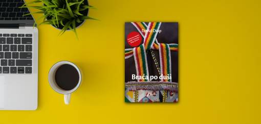 david diop, braća po duši 