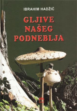 gljive našeg podneblja ibrahim hadzić 