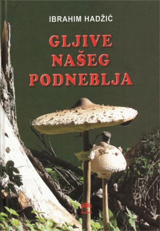 gljive našeg podneblja 