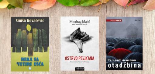 knjige u mom sokaku čumićevom  