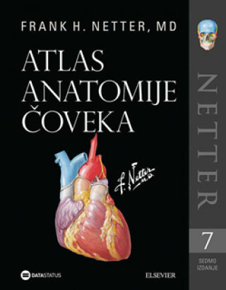 atlas anatomije čoveka netter, 7 izdanje netter 