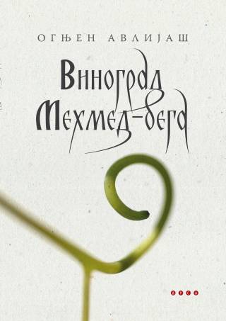 vinograd mehmed bega ognjen avlijaš 