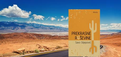 savo stijepović, prekrasne ruševine 