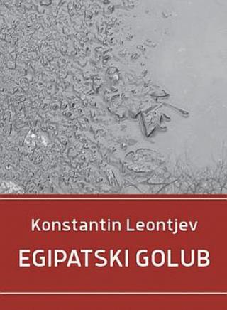 egipatski golub 