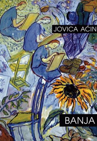 banja jovica aćin 