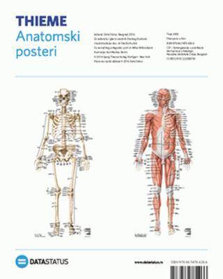 anatomski posteri kosti i mišići karl wesker 