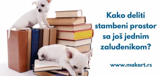 kako deliti stambeni prostor sa još jednim zaluđenikom  