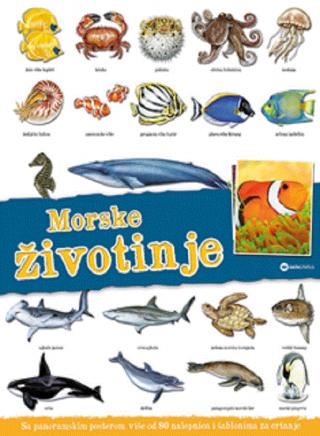 panorama morske životinje 