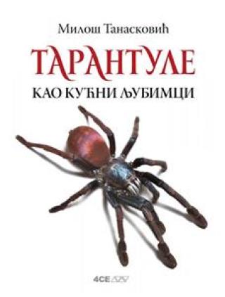 tarantule kao kućni ljubimci miloš tanasković 