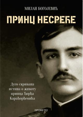 princ nesreće milan bogojević 