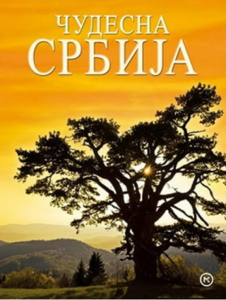 čudesna srbija dragan bosnić 