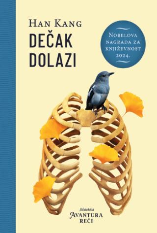 dečak dolazi han kang 