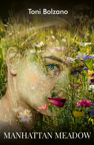 manhattan meadow toni bolzano 