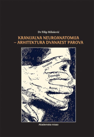 kranijalna neuroanatomija arhitektura dvanaest parova filip milošević 