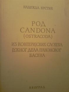 rod candona ( ostracoda)  
