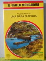 una bara d acqua  