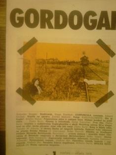 gordogan  