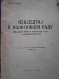izvještaj o političkom radu  