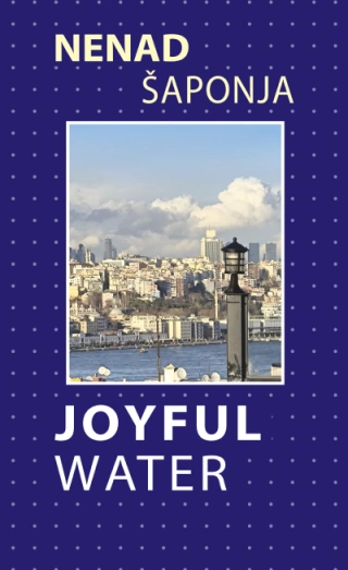 joyful water nenad šaponja 