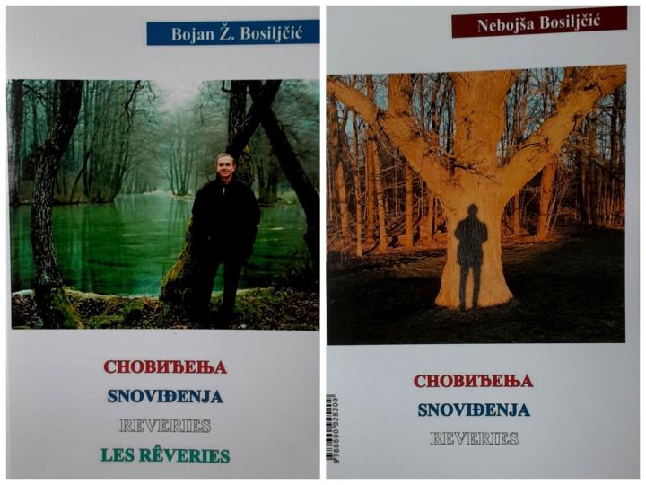 snoviđenja reveries les rêveries 